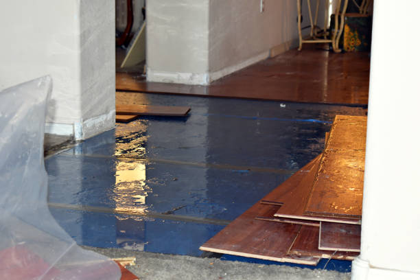 Professional Flood Damage Repair technician working in West New York, NJ